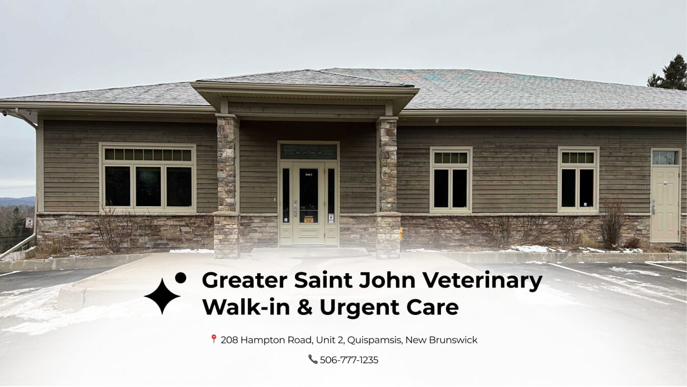 Greater Saint John Veterinary Walk-in & Urgent Care