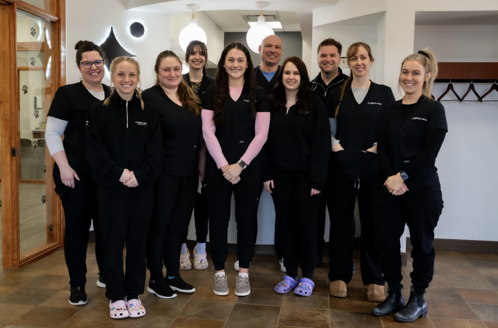 Our Veterinary Team
