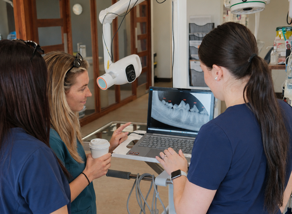 Pet Dental Care in Quispamsis